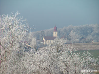 Oberschongau_Bicht_17