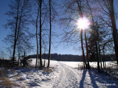 WinterSchneeWeg47