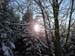 WinterSonne42