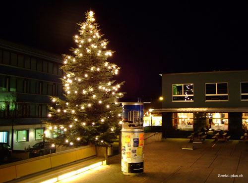 Braui_Christbaum_117