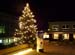 Braui_Christbaum_117