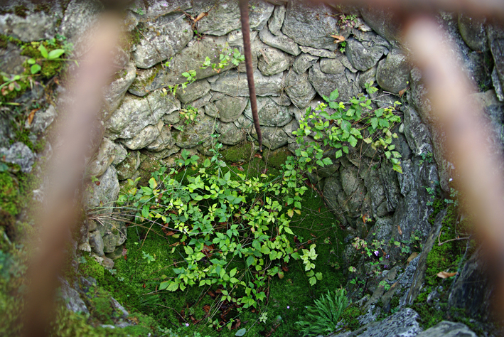 Grünenberg LU, Sodbrunnen