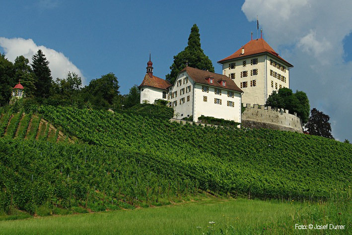 Schloss Heidegg Gelfingen