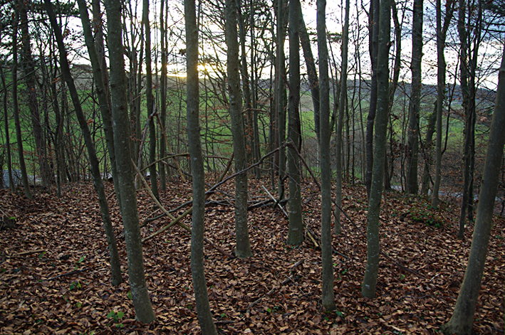 Plateau Burg Wangen Burstel