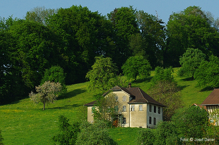 Schloss Dornacher, Gunzwil