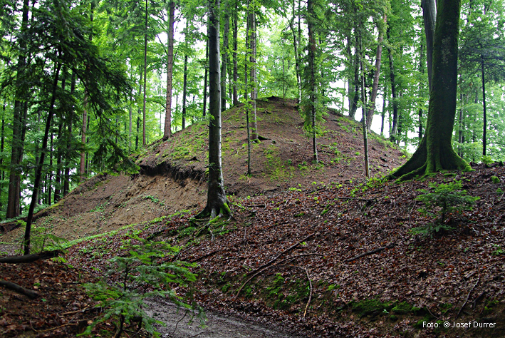 Hintere Rinach, Burgstelle