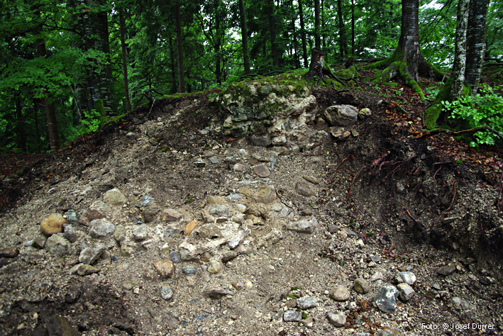 Hintere Rinach, Ruine Steine