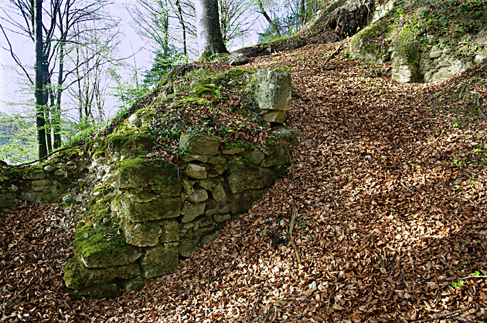 Hasenburg_Mauer