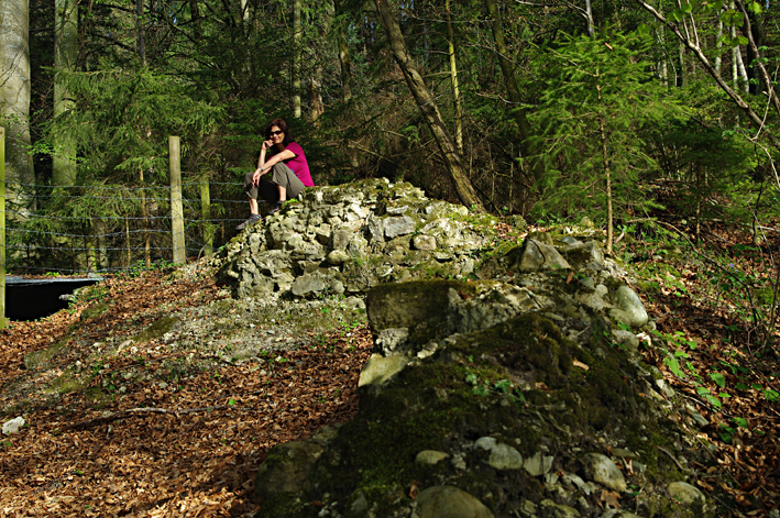 Hasenburg Ruine Willisau