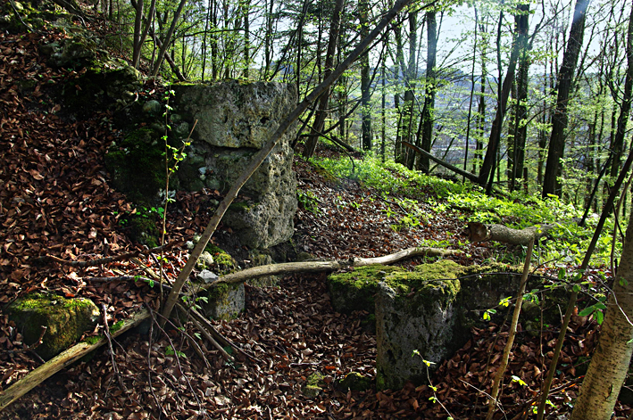 Hasenburg kleines Tor