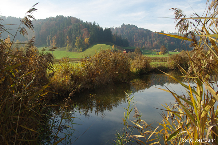 Tutensee mit Burghügel