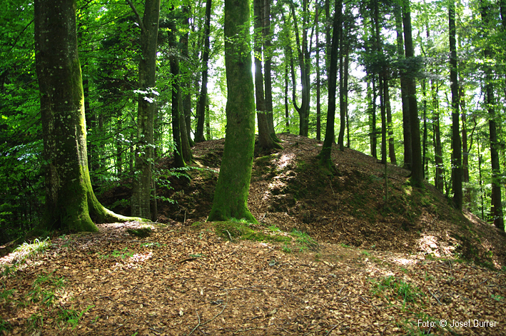 Klein Sertel Burgstelle Reiden