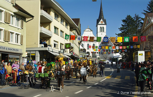 6935_Fasnacht_Hofdere