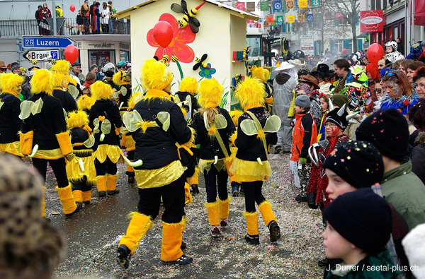 7274_Bienen