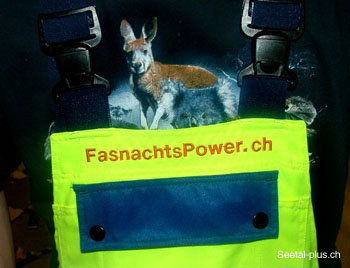 Fasnachtspower_ch_69