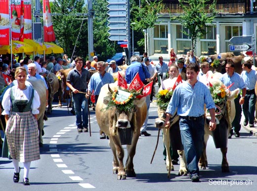 Umzug_001_Alp