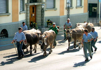 Dorfauszug_423