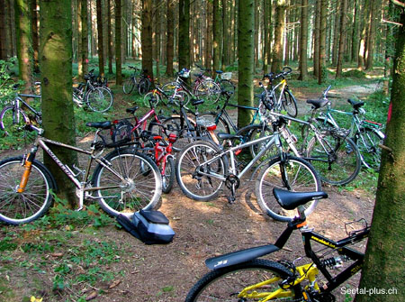 Bikes_im_Wald_87