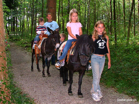 Pony_u_Esel_reiten_13