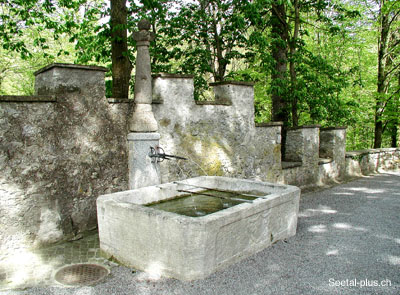 Brunnen_Heidegg_70