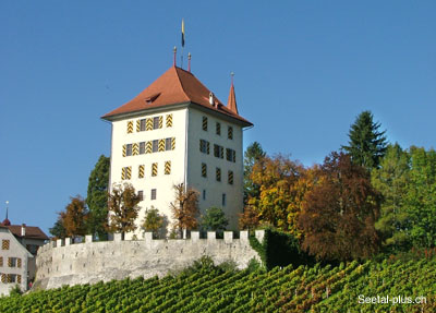 Schloss_Heidegg_Herbst_5