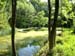 Gelfingen_Weiher_30