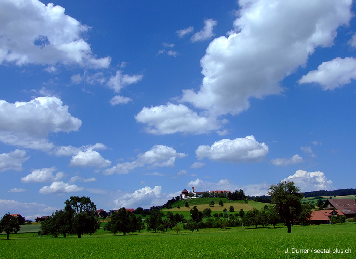 Kommende_Hohenrain_50