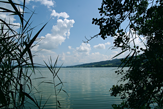 Baldeggersee Ausfluss Aabach