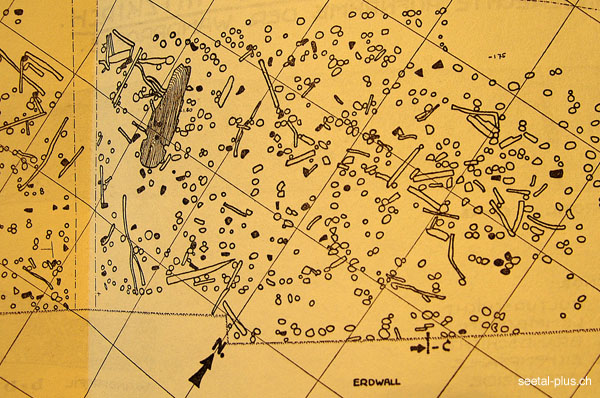 Pfahlbau_Plan_4976