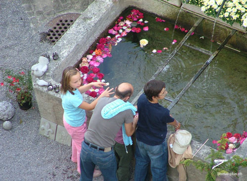 Brunnen_mit_Rosen_256