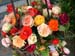 viele_Rosen_296