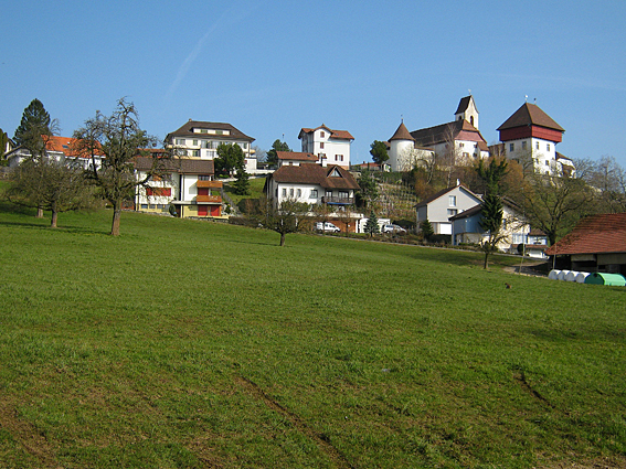 Grüne Wiesen