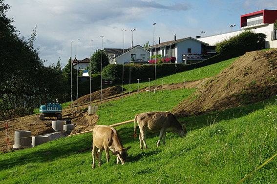 noch Landwirtschaft