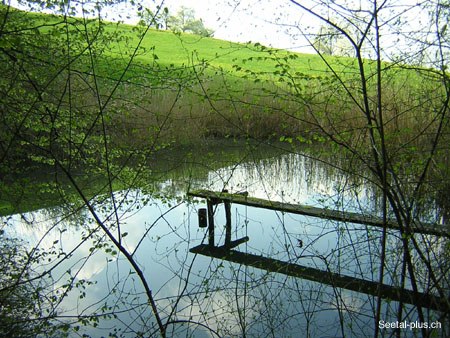 Retschwil_Weiher_B_63