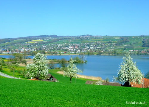 272_Baldeggersee