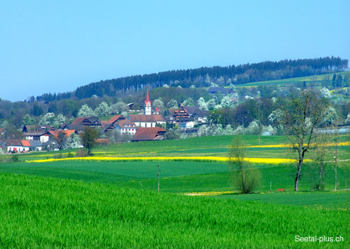 Kleinwangen_80