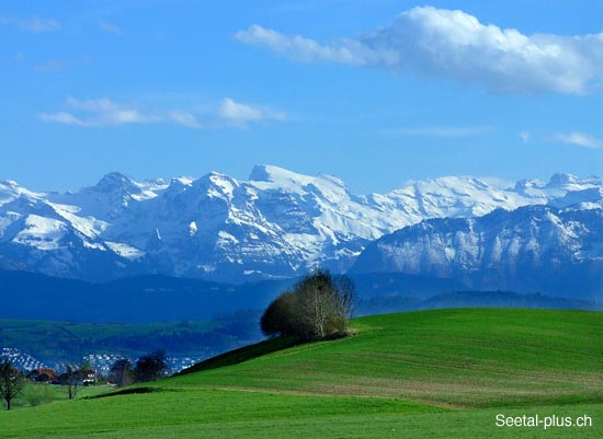 Leisibuehl_Titlis_954