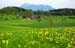 Seetal_Land_922