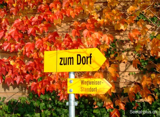 Dorf_Wegweiser_18