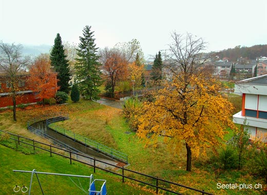 Hofdere_Herbst_35