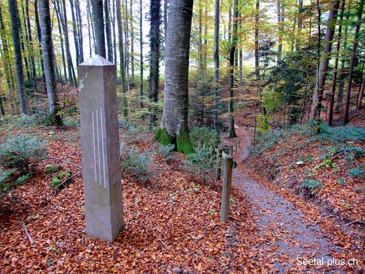 Pilgerweg_36