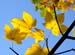 Natur_48