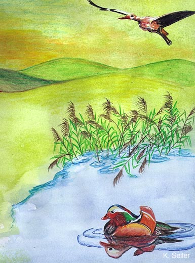 8_Vogel_u_Ente
