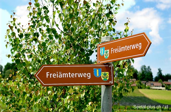 Freiaemterweg_4359