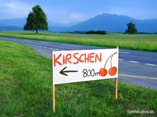 492_Mai_Kirschen