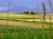466_Land_Wiese_Pilatus