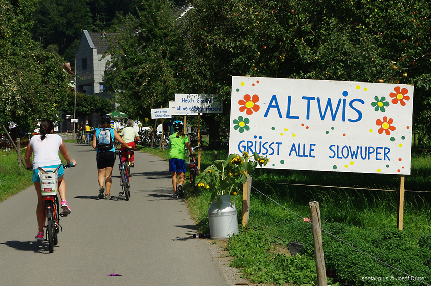4438_Altwis