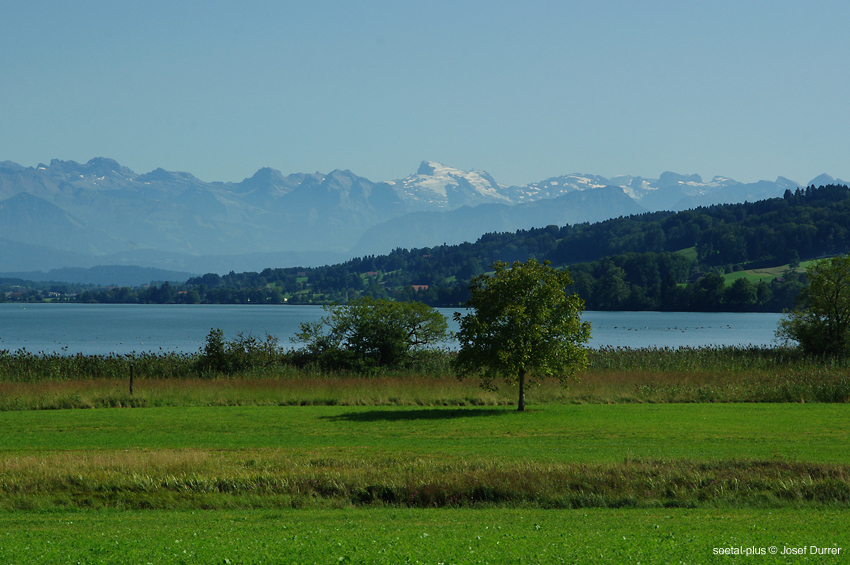 4484_Baldeggersee_Berge