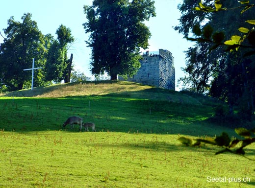 315_Alberswil_Turm