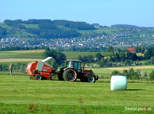 Landwirtschaft_290